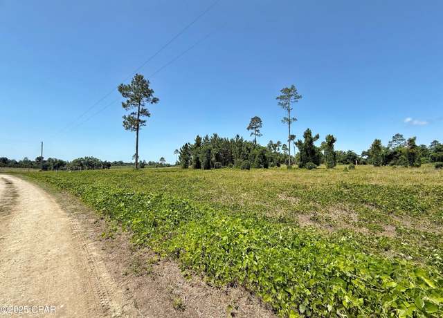 Property at 00 Solitaire Trl, Marianna, FL 32446
