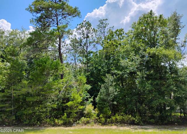 Property at Lot 3 Shenandoah Blvd, Chipley, FL 32428