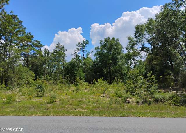 Property at Lot 2 Walkerton Dr, Chipley, FL 32428