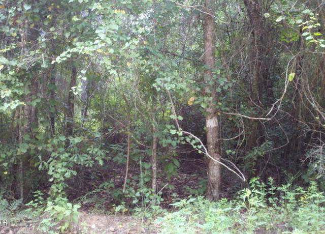 Property at 0 Tj Mitchell Rd, Bonifay, FL 32425