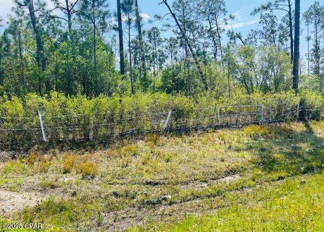 Property at 8942 County Road 386, Wewahitchka, FL 32465