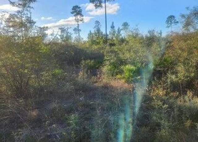 Property at Hwy 167 County Road #167, Fountain, FL 32438