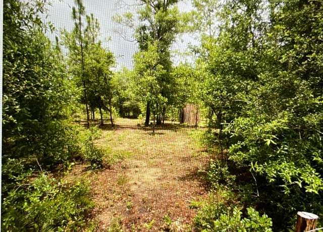 Property at 176 Two Tail Rd, Alford, FL 32420