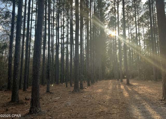 Property at TBD White Oak Ln, Bonifay, FL 32425