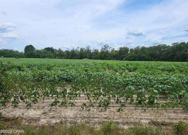 Property at 000 Joiner Rd, Chipley, FL 32428