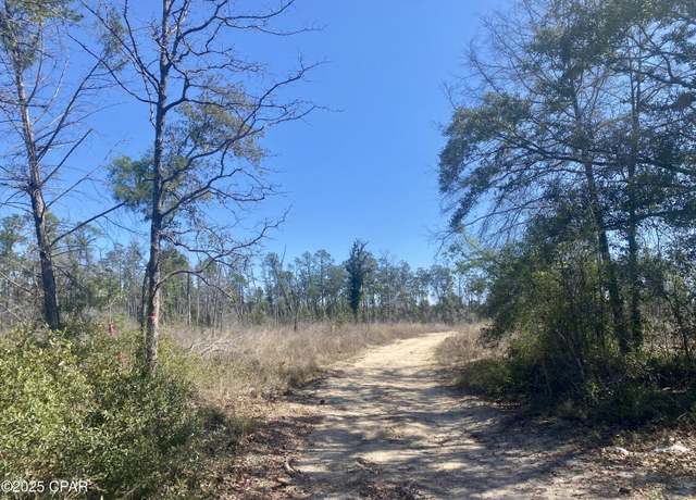 Property at 50 acres NW Sellers Rd, Bristol, FL 32321