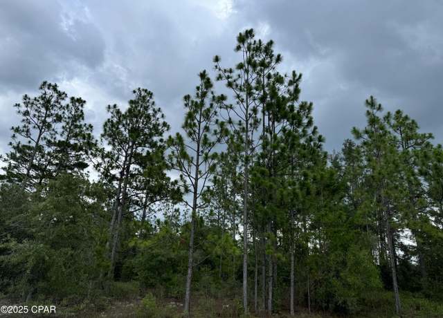 Property at 0000 Tippet St, Chipley, FL 32428