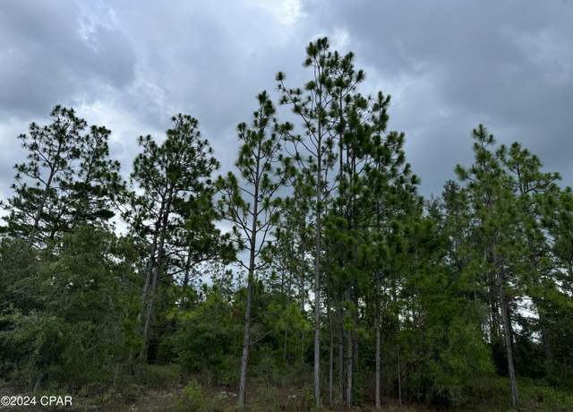 Property at 0000 Tippet Dr, Chipley, FL 32428