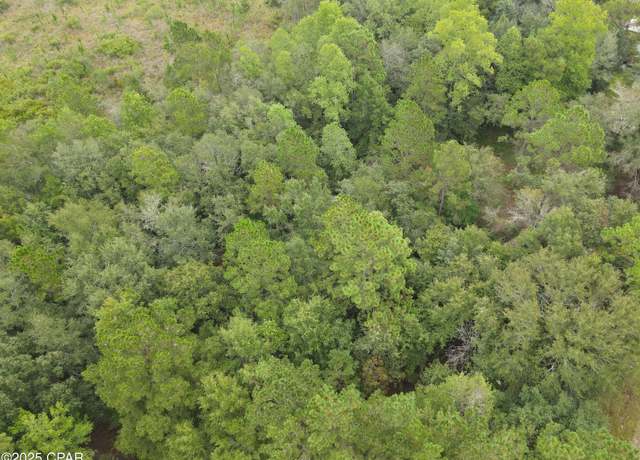 Property at 0 Bryerwood Ln, Bonifay, FL 32425