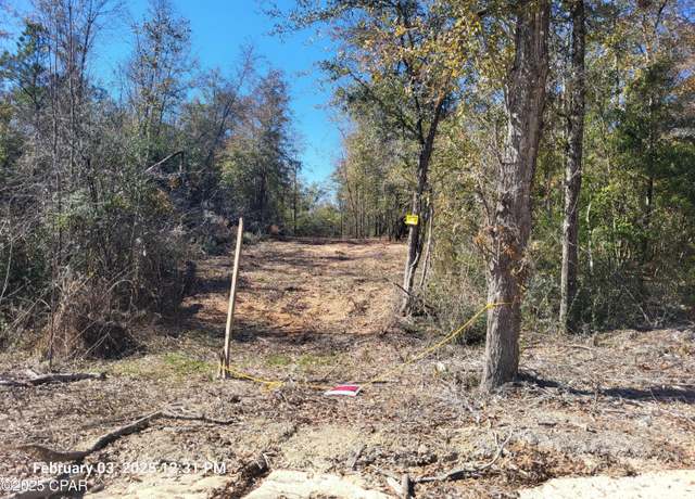 Property at Lot 8 NW Womble Rd, Altha, FL 32421
