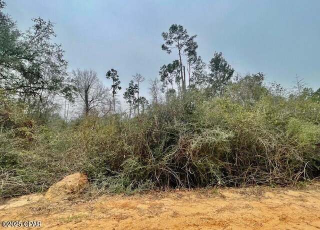 Property at 0 Tamarac Rd, Marianna, FL 32448