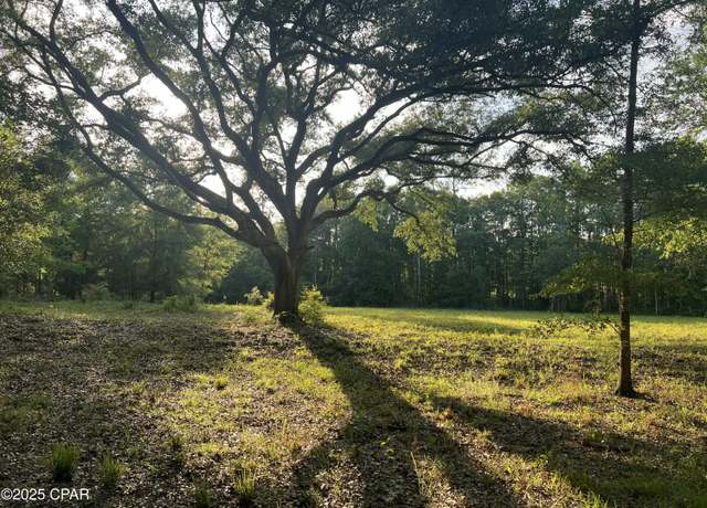 Property at 1750 Turkey Oak Trl, Bonifay, FL 32425