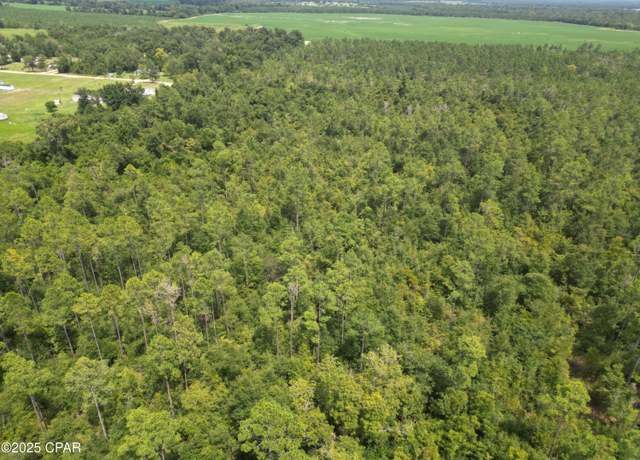 Property at 0000 Lot 9 Calhoun Road Rd, Greenwood, FL 32443