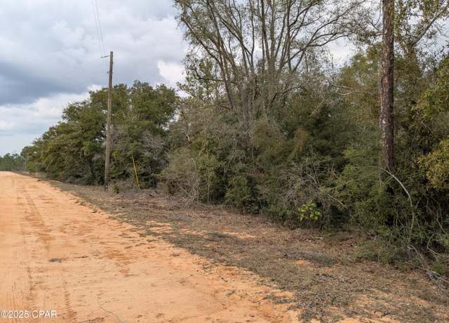 Property at 0 Starling Ave, Marianna, FL 32448
