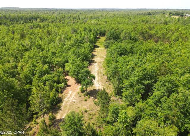 Property at 0 Mutual Rd, Alford, FL 32420