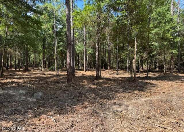 Property at 0000 Derby Dr, Chipley, FL 32428