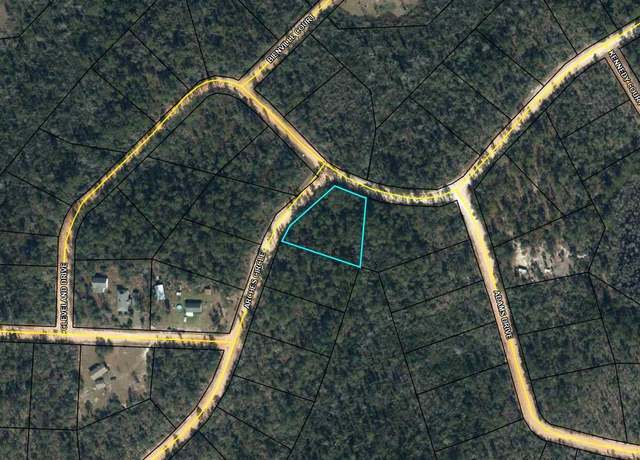 Property at Lot 8 Cleveland Dr, Alford, FL 32420