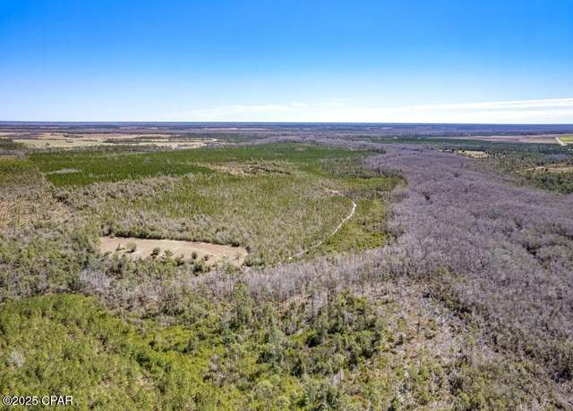 Property at 0 S Sr 71, Wewahitchka, FL 32449