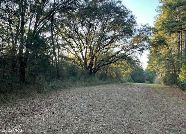 Property at TBD Post Oak Ln, Bonifay, FL 32425