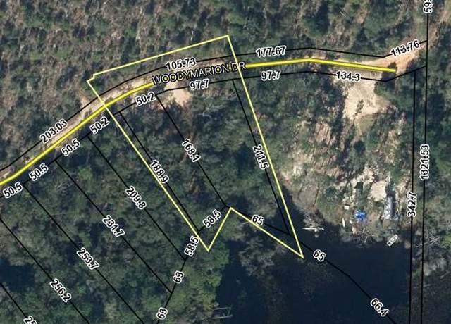 Property at 000 - 000 Woodymarion Dr Lot 99 & 100, Chipley, FL 32428