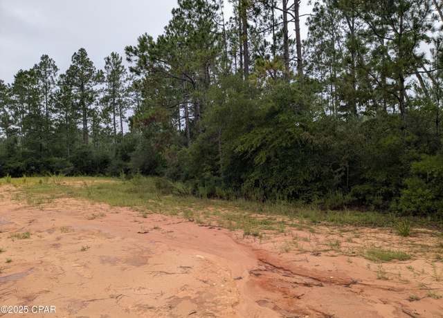 Property at 0 Deshutes Dr, Alford, FL 32420