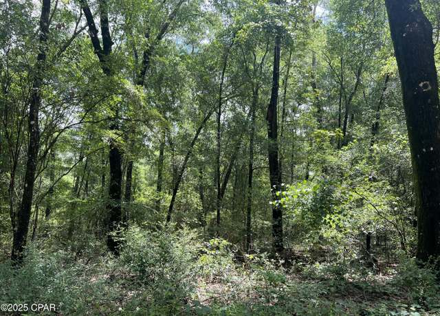 Property at Lot 23 Remington Pl, Bonifay, FL 32425