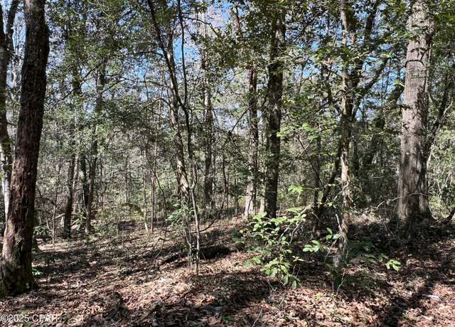 Property at TBD W Nottingham, Bonifay, FL 32425