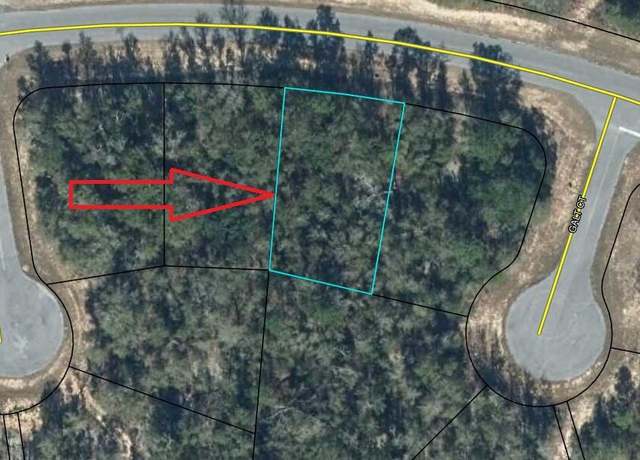 Property at TBD Shenandoah, Chipley, FL 32428
