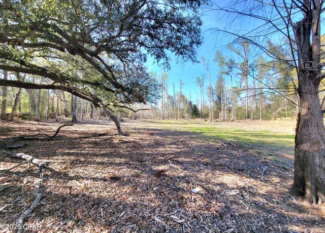 Property at 00 Highway 90, Sneads, FL 32460