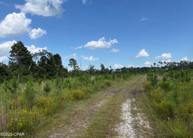 Property at 000 Duck Pond Rd, Clarksville, FL 32430