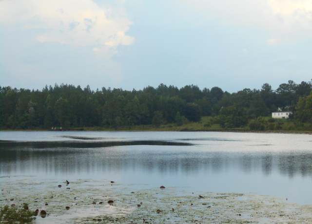 Property at 0 Mcduff Dr, Alford, FL 32420
