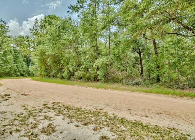Property at Lots 17-18 Blue Creek Rd, Ponce De Leon, FL 32455