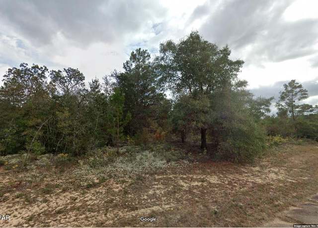 Property at Lot 3 Brighton Ave Unit 11 Blk 760, Chipley, FL 32428