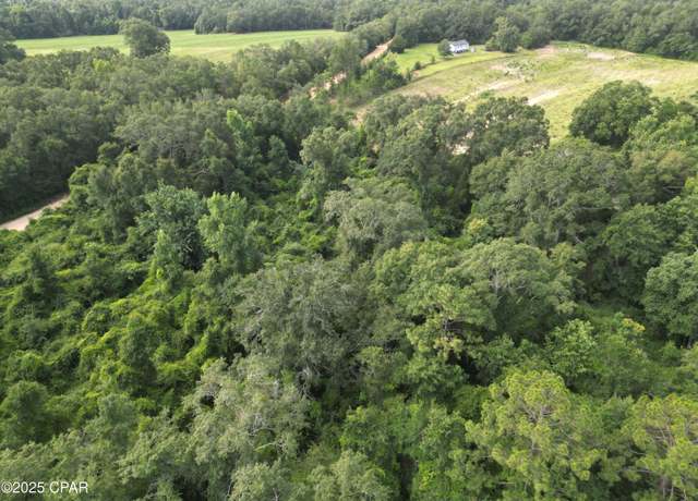 Property at 0000 N Holmes Creek Rd, Graceville, FL 32440