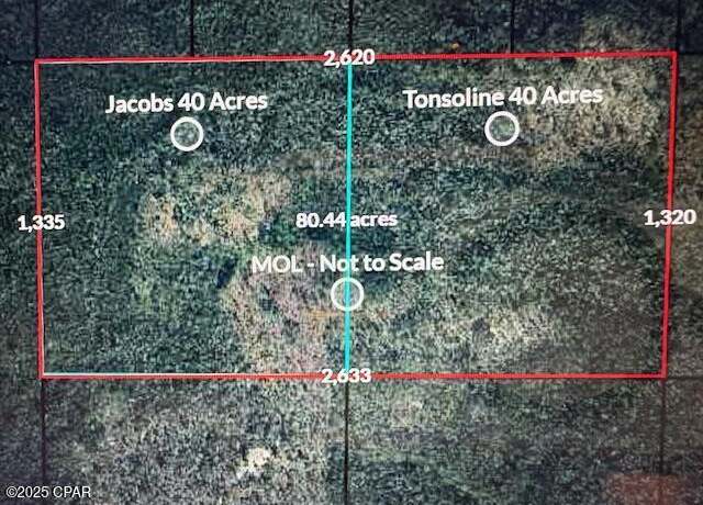Property at 0 NW Camp Head Rd, Altha, FL 32421