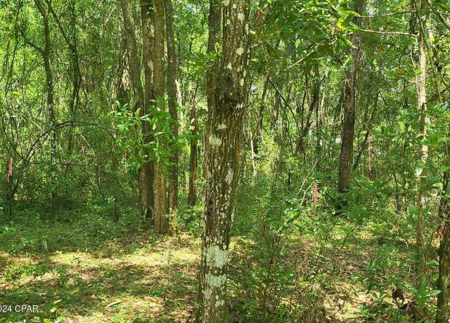 Property at 00 Elizabeth St, Crawfordville, FL 32326