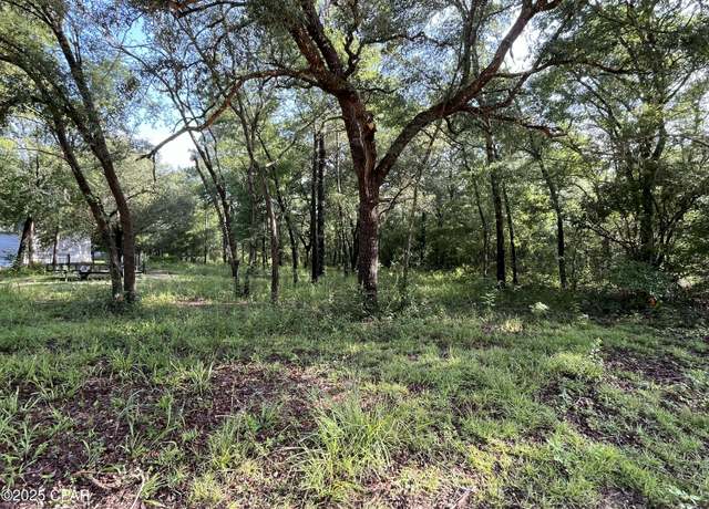 Property at TBD Lakeshore Dr, Chipley, FL 32428
