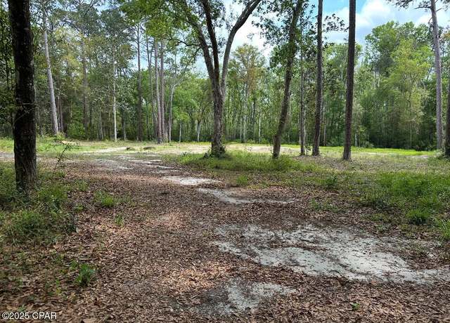 Property at 378 S Turkey Ave, Wewahitchka, FL 32465