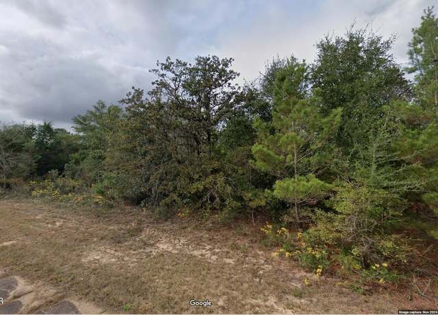 Property at Lot 3 Kapok Ave Unit 11 Blk 752, Chipley, FL 32428