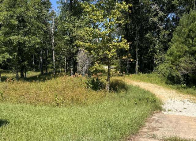 Property at XXX Hwy 79, Vernon, FL 32462