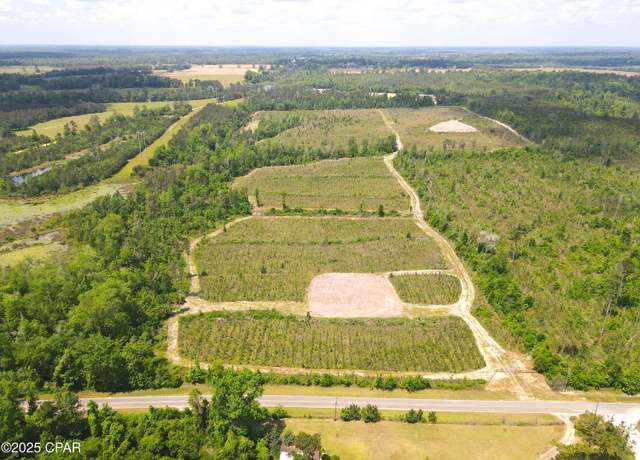 Property at 00 Sinai Rd, Sneads, FL 32460
