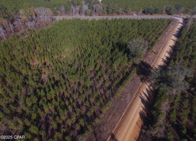 Property at TBD Lot 1 Peanut Rd, Cottondale, FL 32431