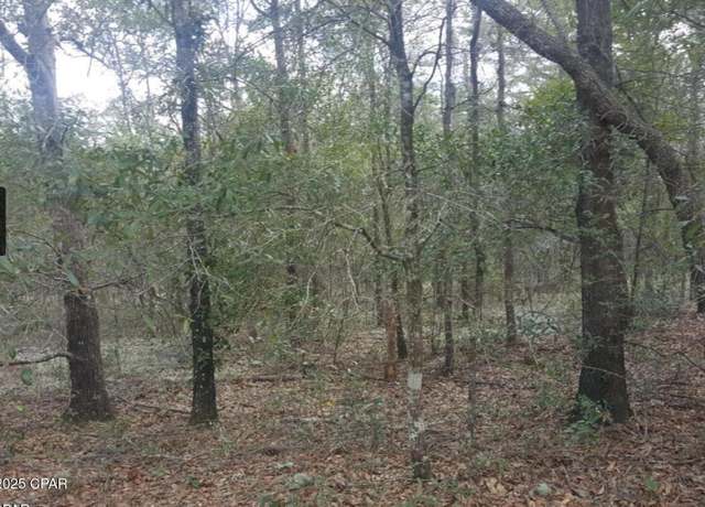 Property at 000 Fusion Cir, Chipley, FL 32428