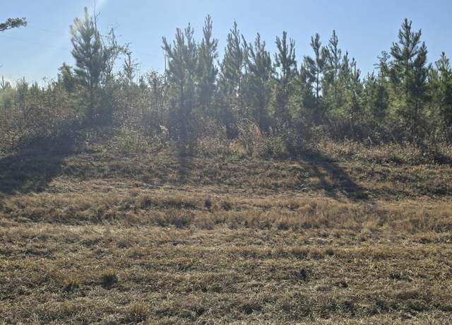 Property at TBD Lot 2 Peanut Rd, Cottondale, FL 32431