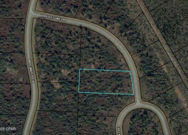 Property at 110 Bristle Cone Dr, Wewahitchka, FL 32465