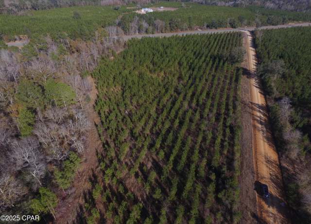 Property at TBD Lot 4 Peanut Rd, Cottondale, FL 32431