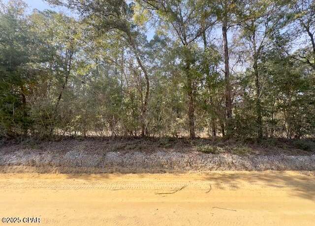 Property at XXX Bryant Bay Rd, Caryville, FL 32427