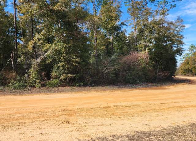 Property at 0 Breese Ct Lot 29, Alford, FL 32420