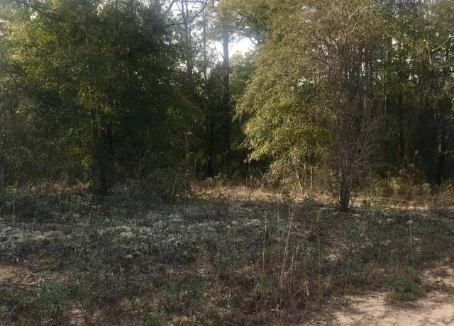 Property at 0 Dunford Cir Lot 13, Chipley, FL 32428