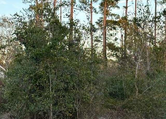 Property at 0000 Santa Rosa Ave, Southport, FL 32409